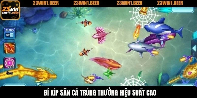 Bí kíp săn cá trúng thưởng hiệu suất cao