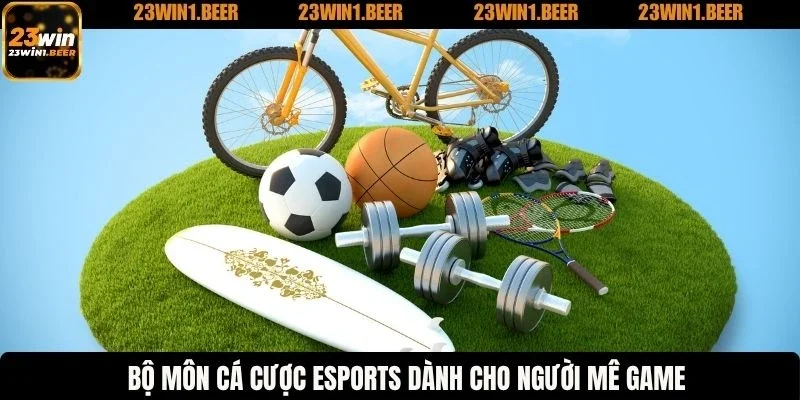 Bộ môn cá cược esports dành cho người mê game
