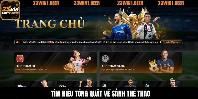 Tìm hiểu tổng quát về sảnh thể thao